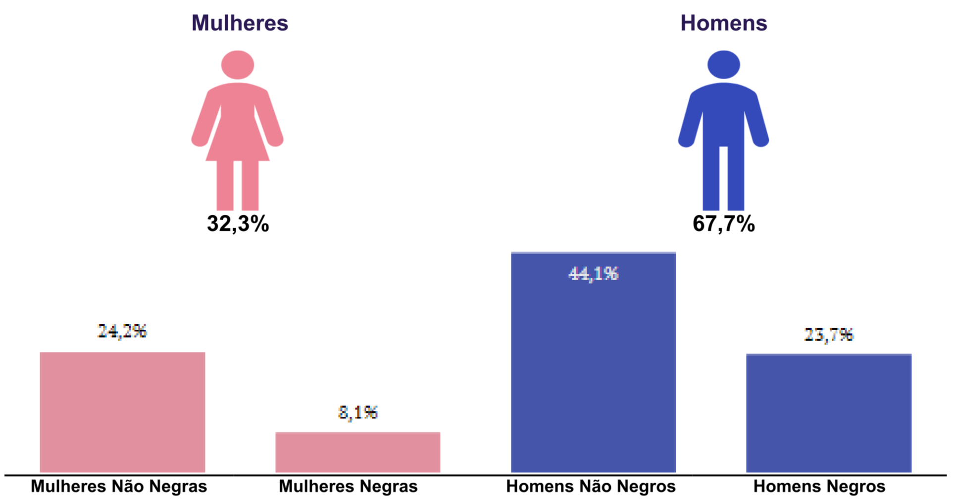 Mulheres 32,3% e Homens 67,7%. Mulheres Não Negras 24,2%; Mulheres Negras 8,1%; Homens Não Negros 44,1%; Homens Negros 23,7%.
